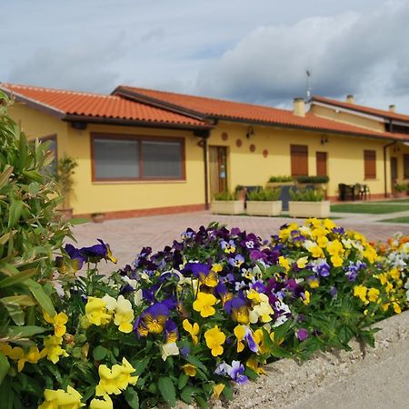 Le Terre Di Bac Bed & Breakfast Borgo Montenero Bagian luar foto