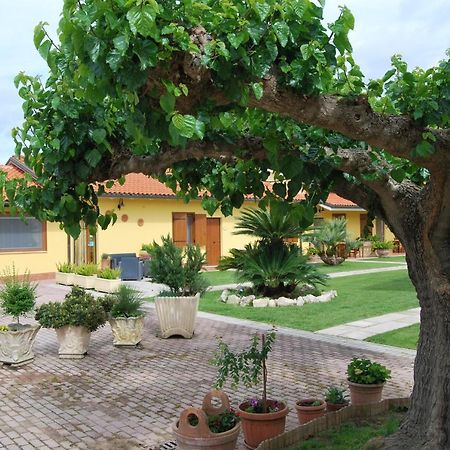 Le Terre Di Bac Bed & Breakfast Borgo Montenero Bagian luar foto