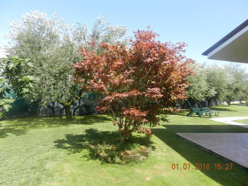 Le Terre Di Bac Bed & Breakfast Borgo Montenero Bagian luar foto
