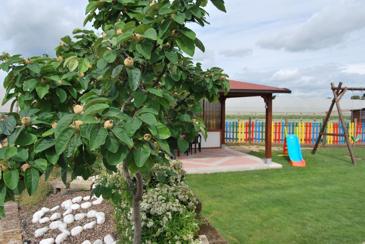 Le Terre Di Bac Bed & Breakfast Borgo Montenero Bagian luar foto
